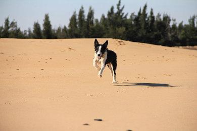 神祗模拟游戏类型迎来复苏《神命 - 神祗模拟器》今日登陆PC商店！